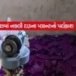 dharmishtha 1 8