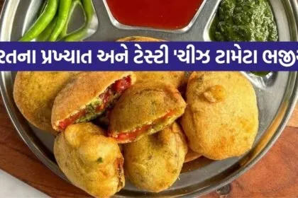 Tomato Bhajiya 2206
