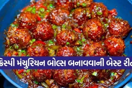 Veg Manchurian