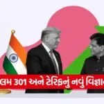 India 11