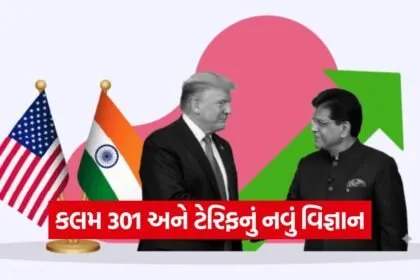 India 11