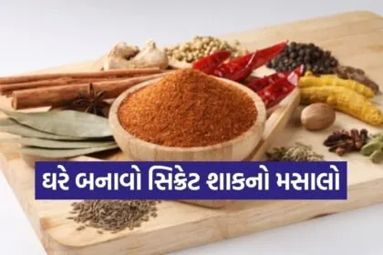 Vegetable Masala