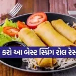 Spring Roll