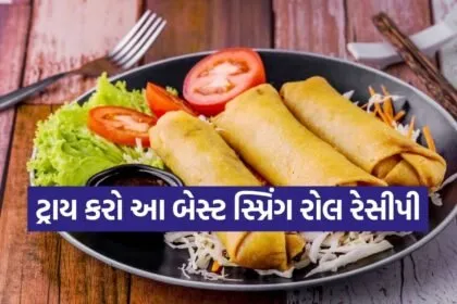 Spring Roll