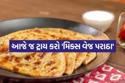 mixed veg paratha