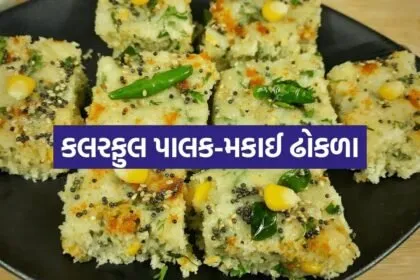 Spinach corn dhokla 2606