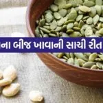 Pumpkin seeds 2606