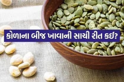 Pumpkin seeds 2606