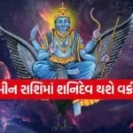 shanidev 3006