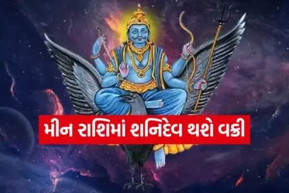 shanidev 3006