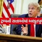 Trump 3006