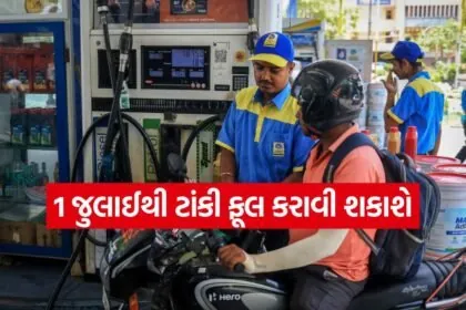 Petrol 3006