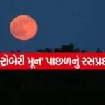 Strawberry Moon 2806
