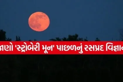 Strawberry Moon 2806