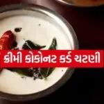 Coconut curd chutney 3006