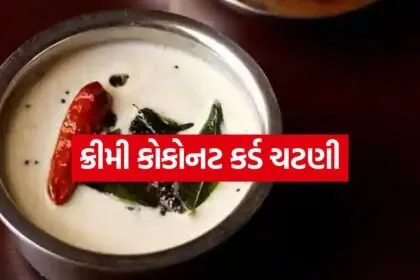 Coconut curd chutney 3006