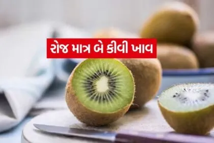 Kiwi 0107