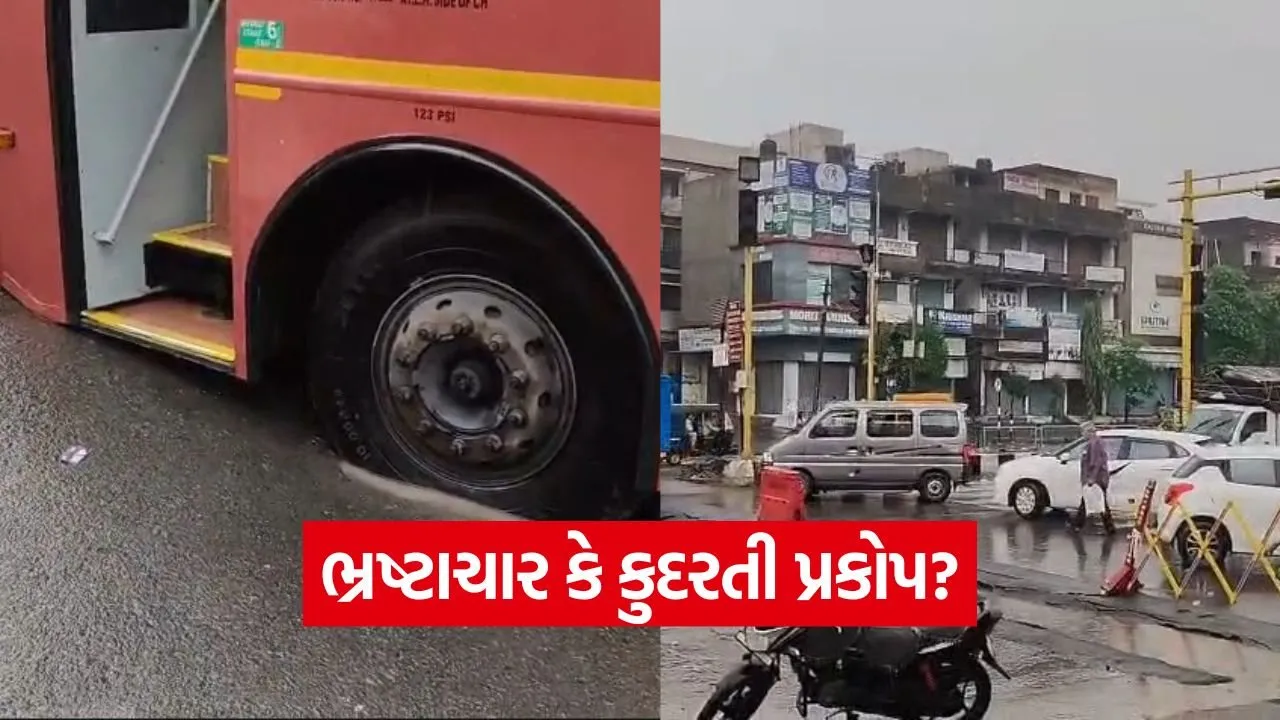india 1 16.jpg