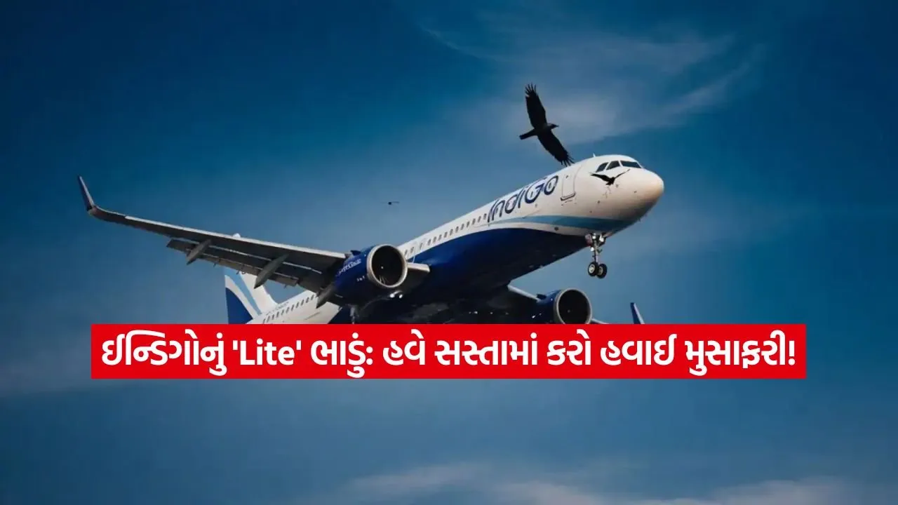 indigo.jpg