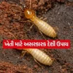 Farming Tips11