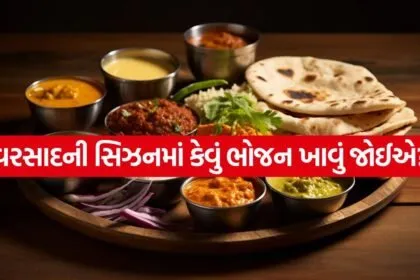 Monsoon diet 0207