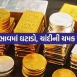 gold silver 0207