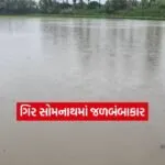 Gir Somnath2