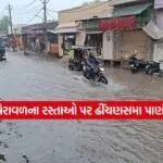 Gir Somnath5