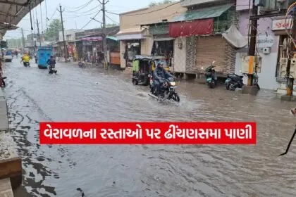 Gir Somnath5