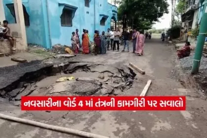 navsari2