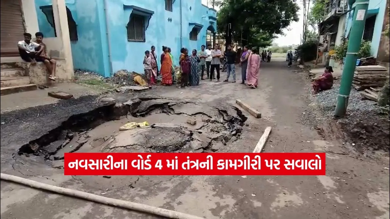 navsari2.jpg