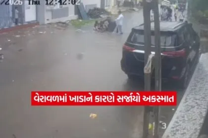 Gir Somnath8