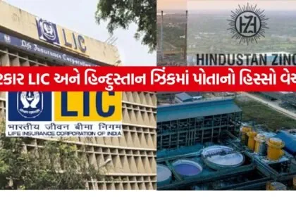 LIC 0207