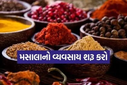 Masala Business 0307