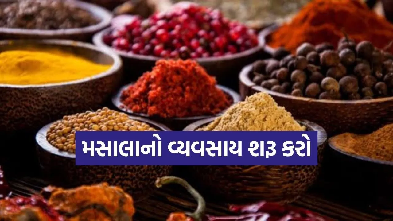 Masala Business 0307.jpg