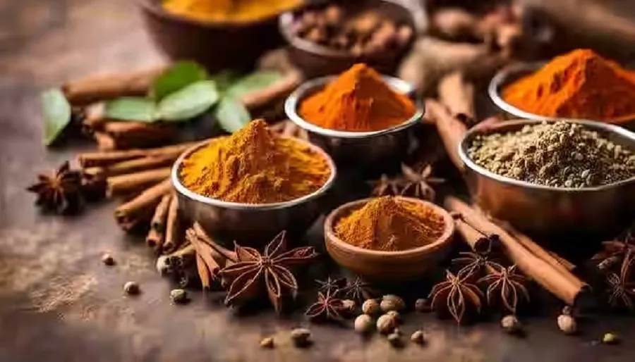 Masala Business.1.jpg