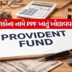 PPF 0307