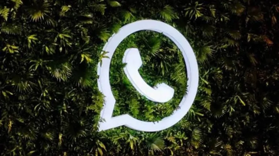 શું ભારતમાં મેટા પર લાગશે પ્રતિબંધ? WhatsApp અને Instagram મામલે કંપની ભીંસમાં 2 whatsapp.jpg