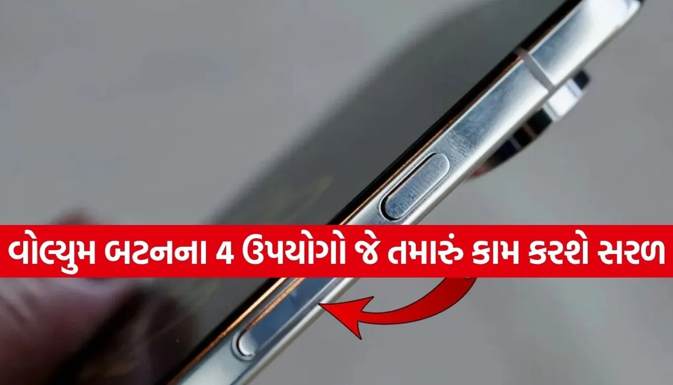 Volume Button