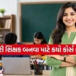 Government Teacher