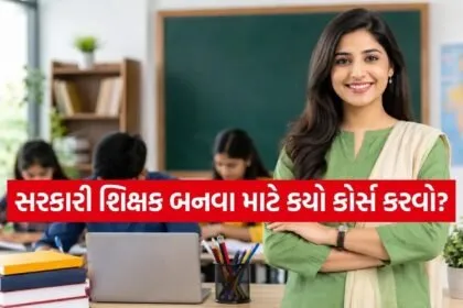 Government Teacher