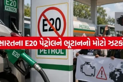 E20 Petrol