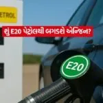 E20 Petrol3
