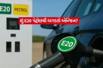 E20 Petrol3