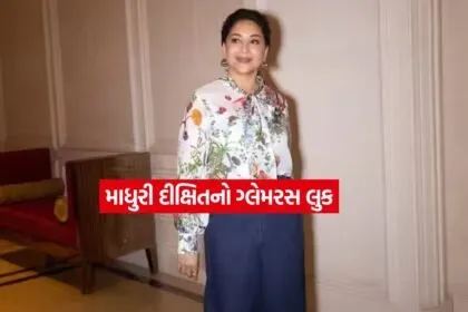 Madhuri Dixit3
