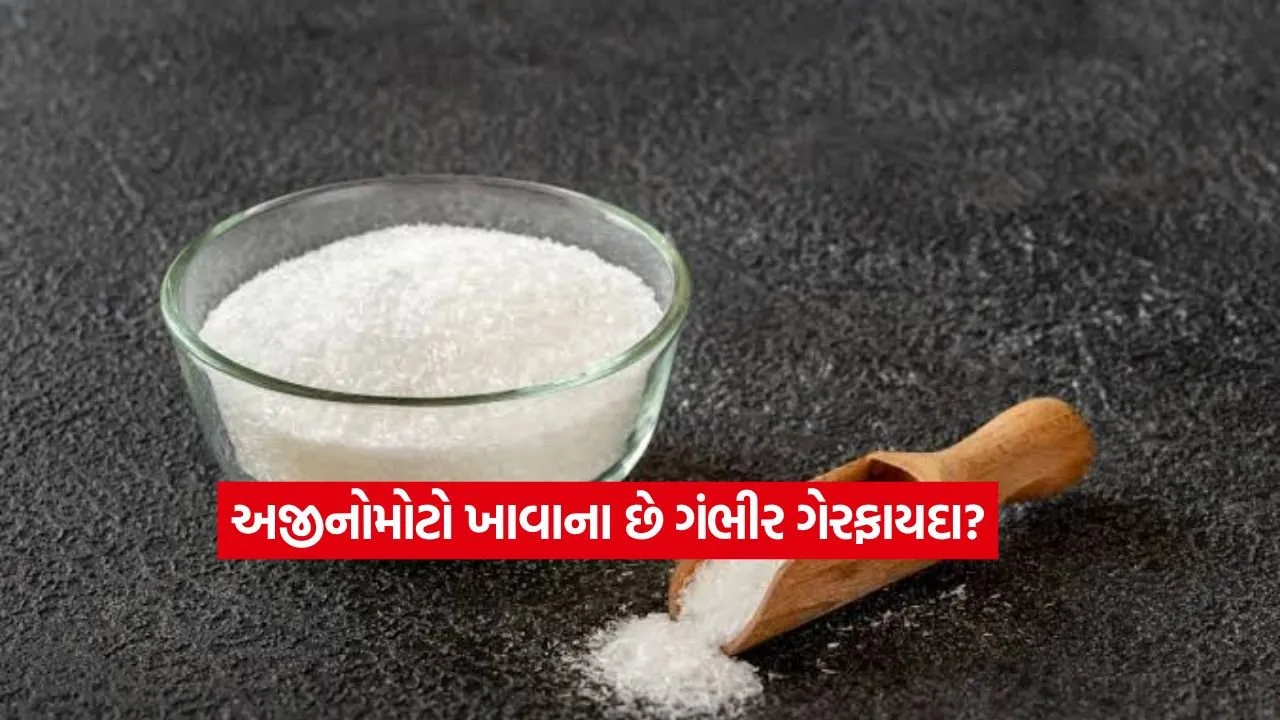 Ajinomoto2.jpg