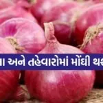 Onion 0507