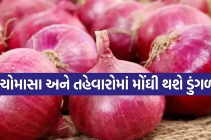 Onion 0507