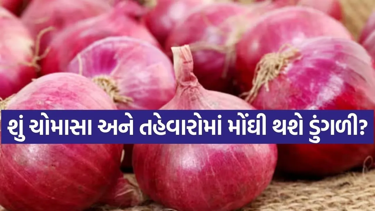 Onion 0507.jpg