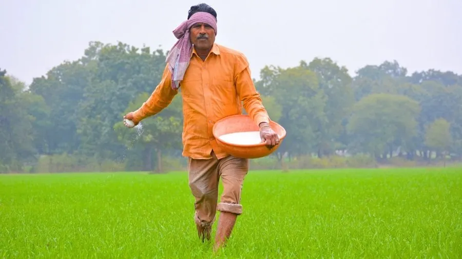 Fertilizer